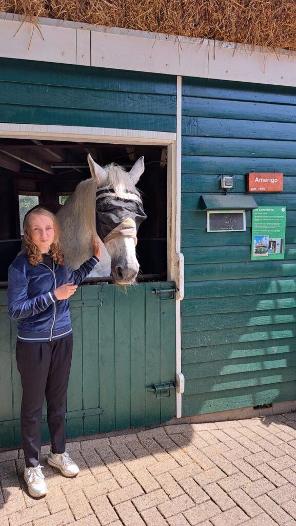 paarden_soest
